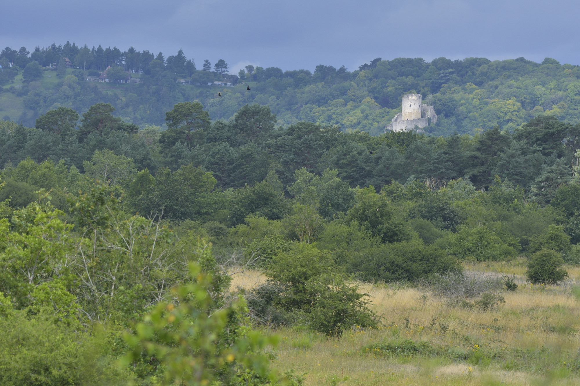 Randonnée naturaliste en Boucle de Moisson