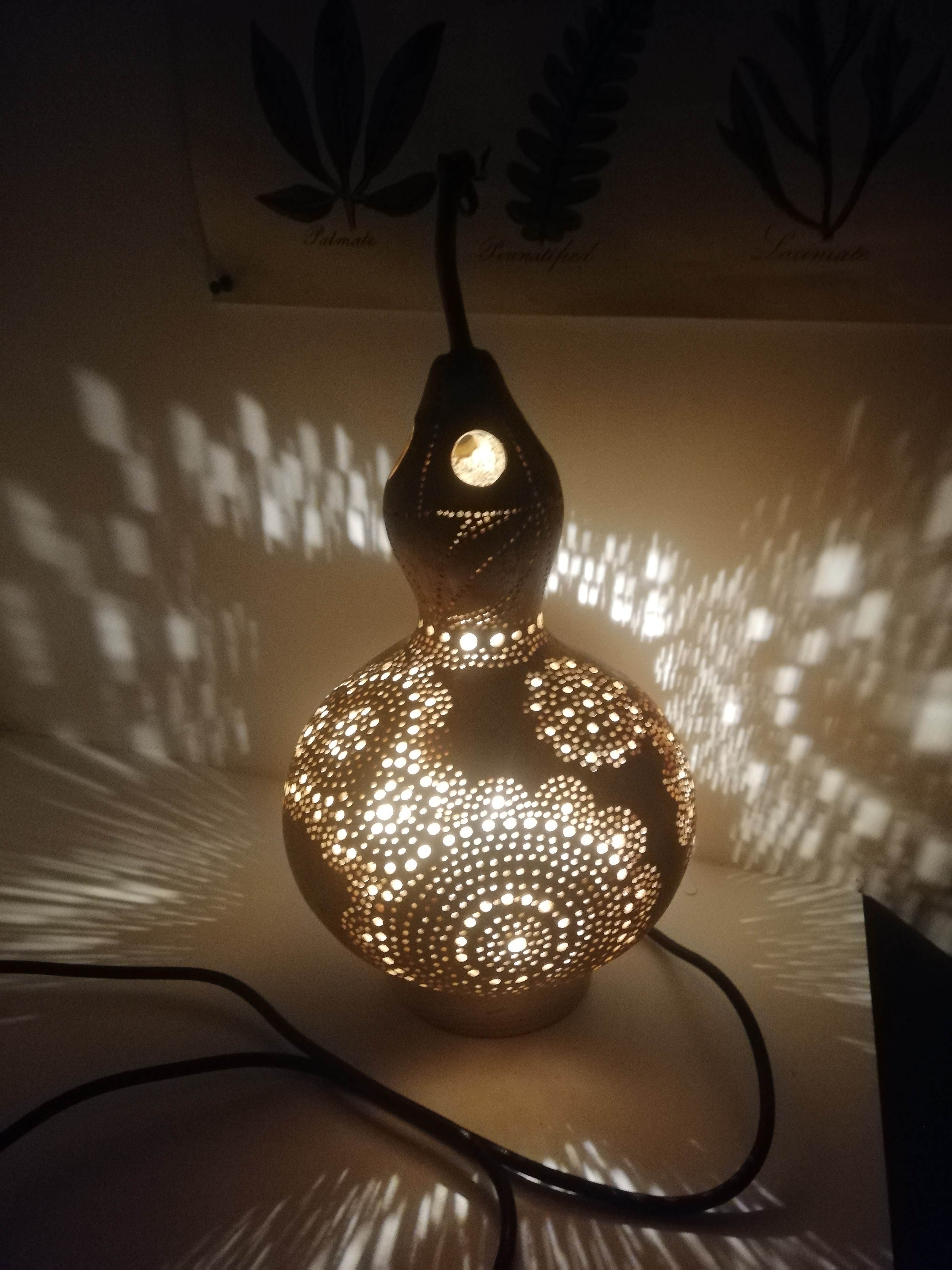 Atelier : Calebasse en lumière