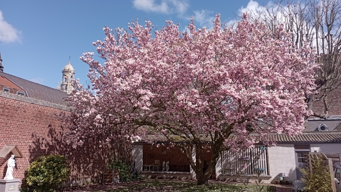 Sensibilisation sur l’importance des jardins