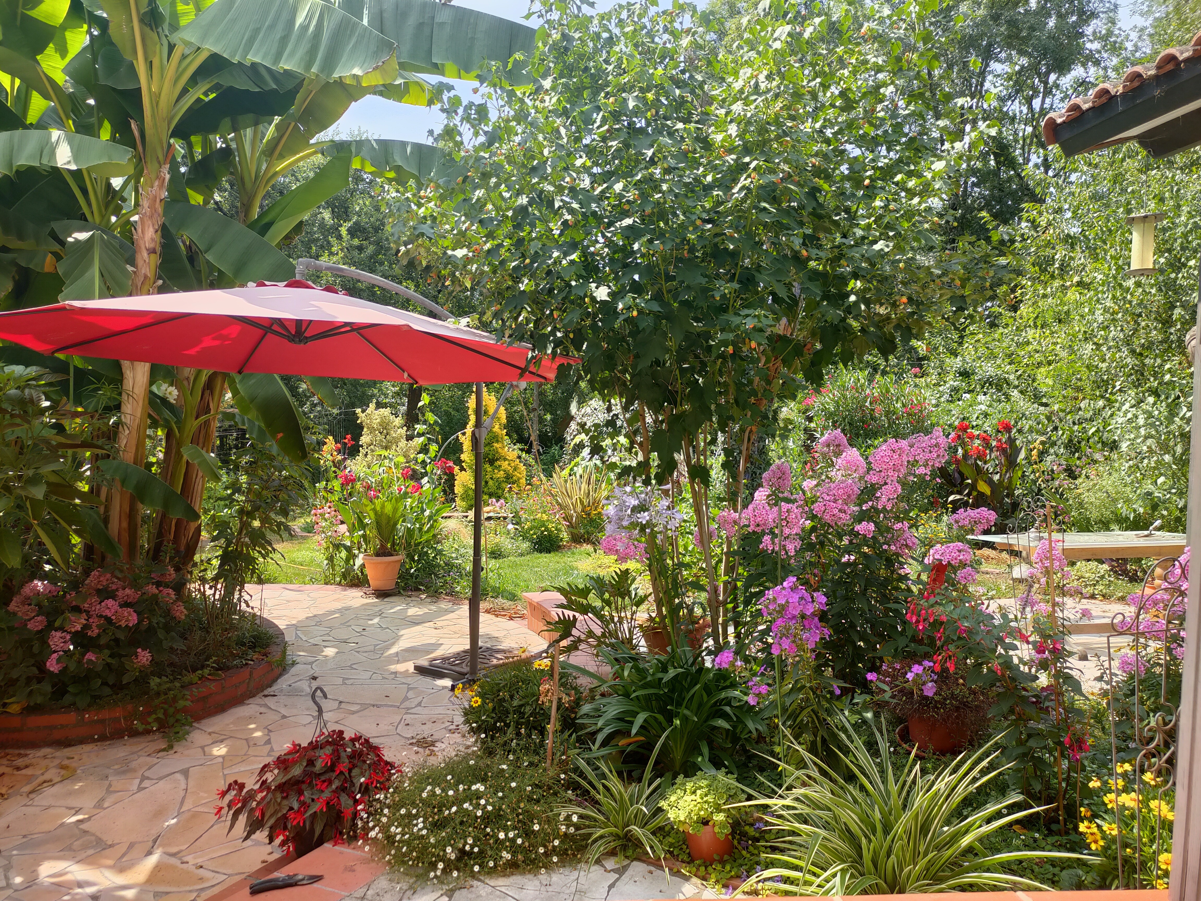 Visite découverte du jardin botanique
