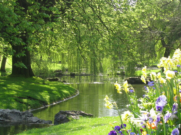Guided tour of Barbieux Park in photographs