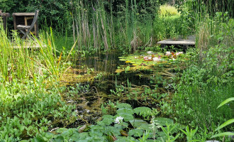 Exemple de jardin naturel