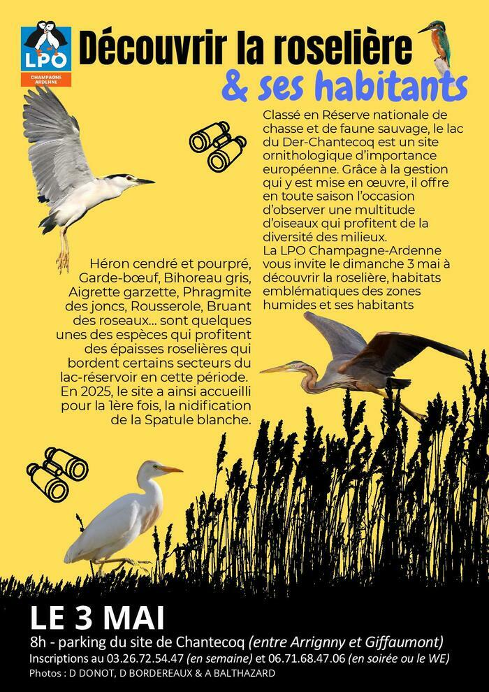 Site de Chantecoq