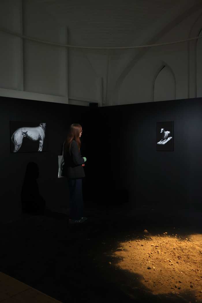 Exposition de la saison Exposition de la saison