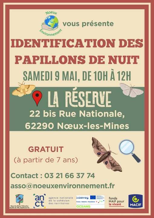 Identification des papillons de nuit