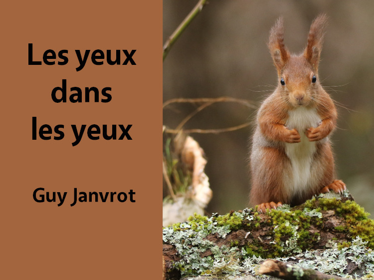 Exposition « Les yeux dans les yeux »