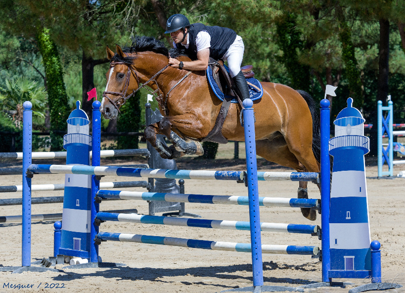 Concours hippique