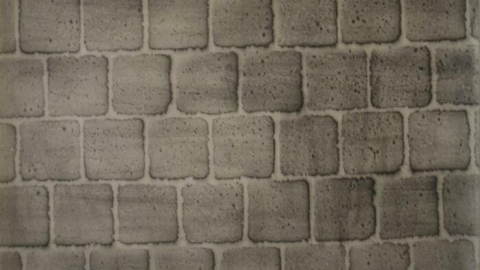 Dissimuler / révéler