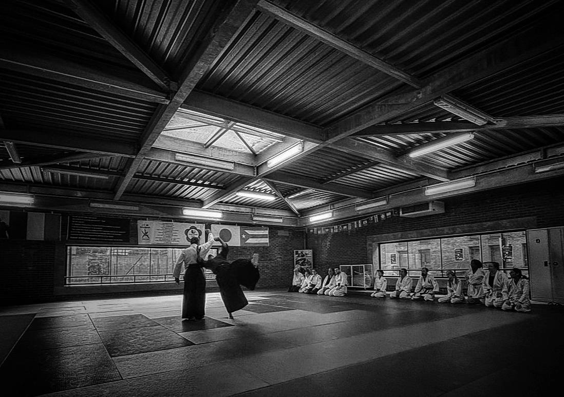 Cours d'Aikido adultes/ados, les mardis de 19 à 21h, salle Bernard Jeu à Roubaix