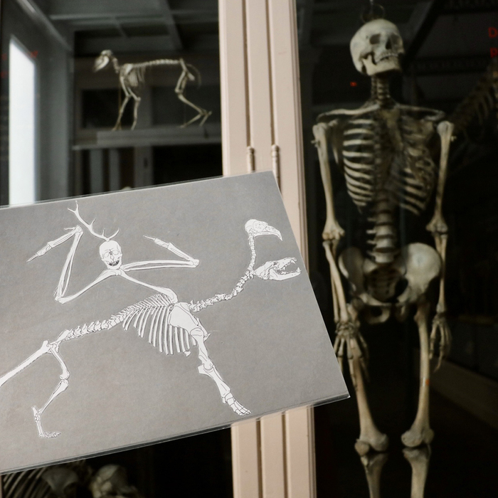Les petits labos du musée - Invente un monstre