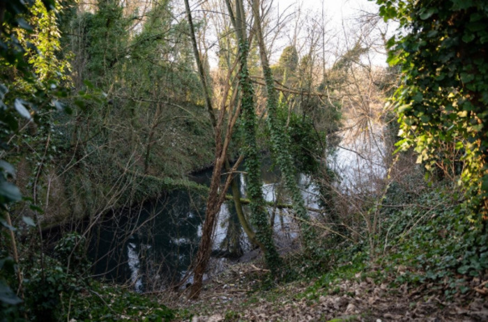 Euralille à la Deûle : nature en mouvement