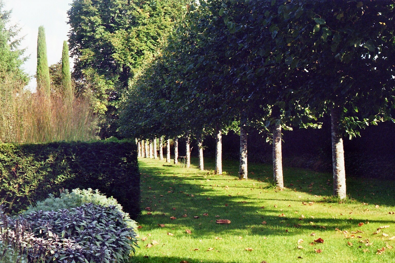 Visite à la découverte du jardin du presbytère