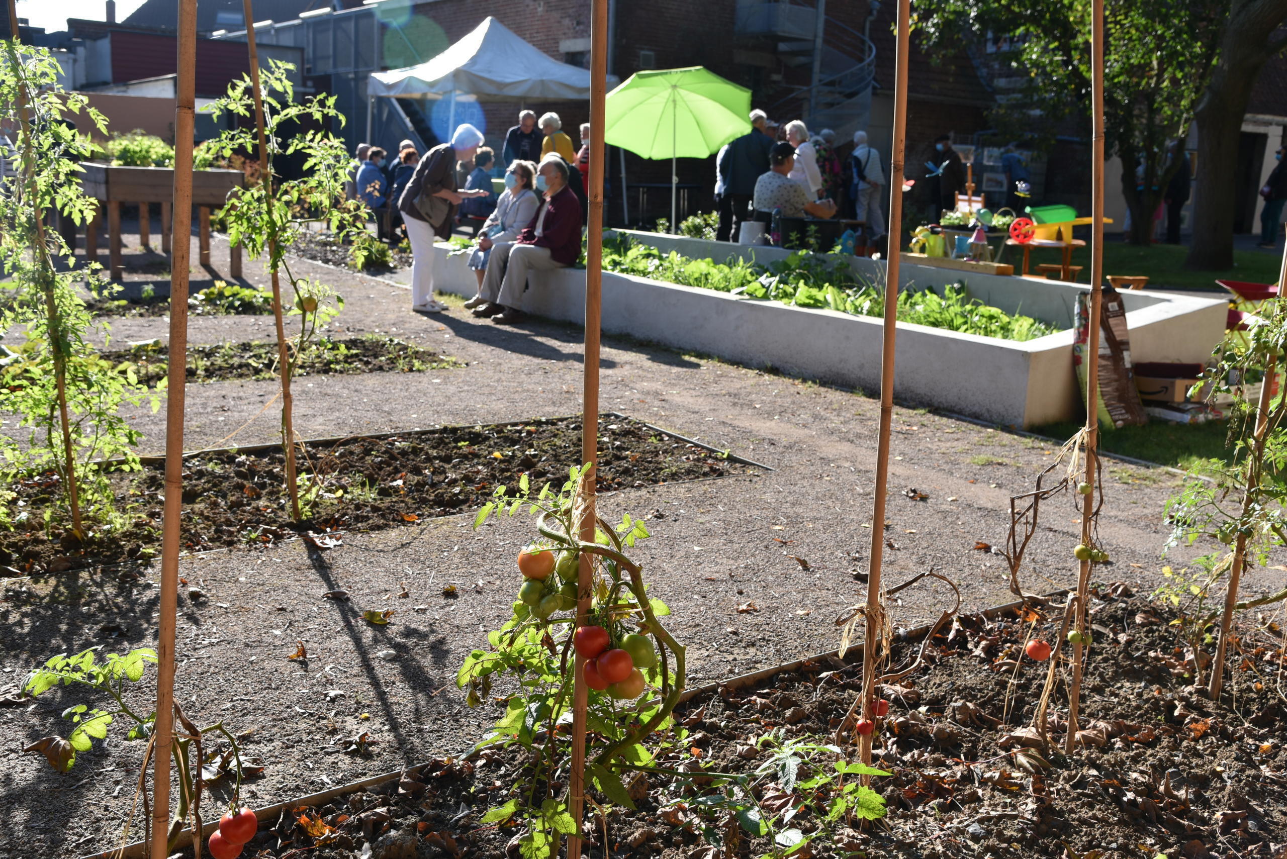 Rendez-vous au jardin avec les Jardiniers de Villeneuve d'Ascq