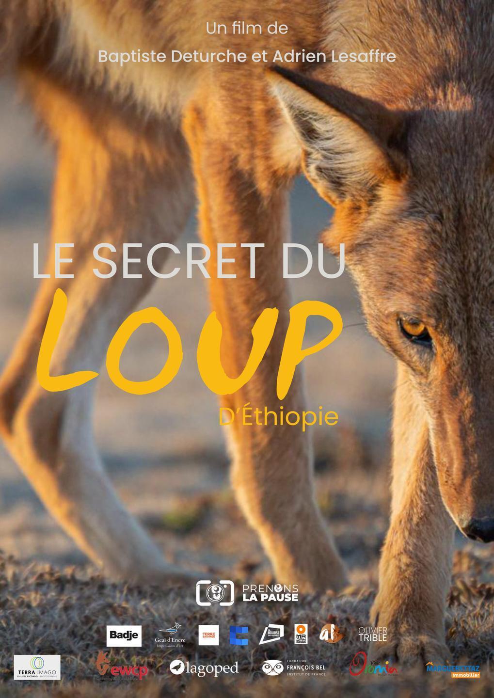 CINÉ RENCONTRE >>> LE SECRET DU LOUP D'ETHIOPIE