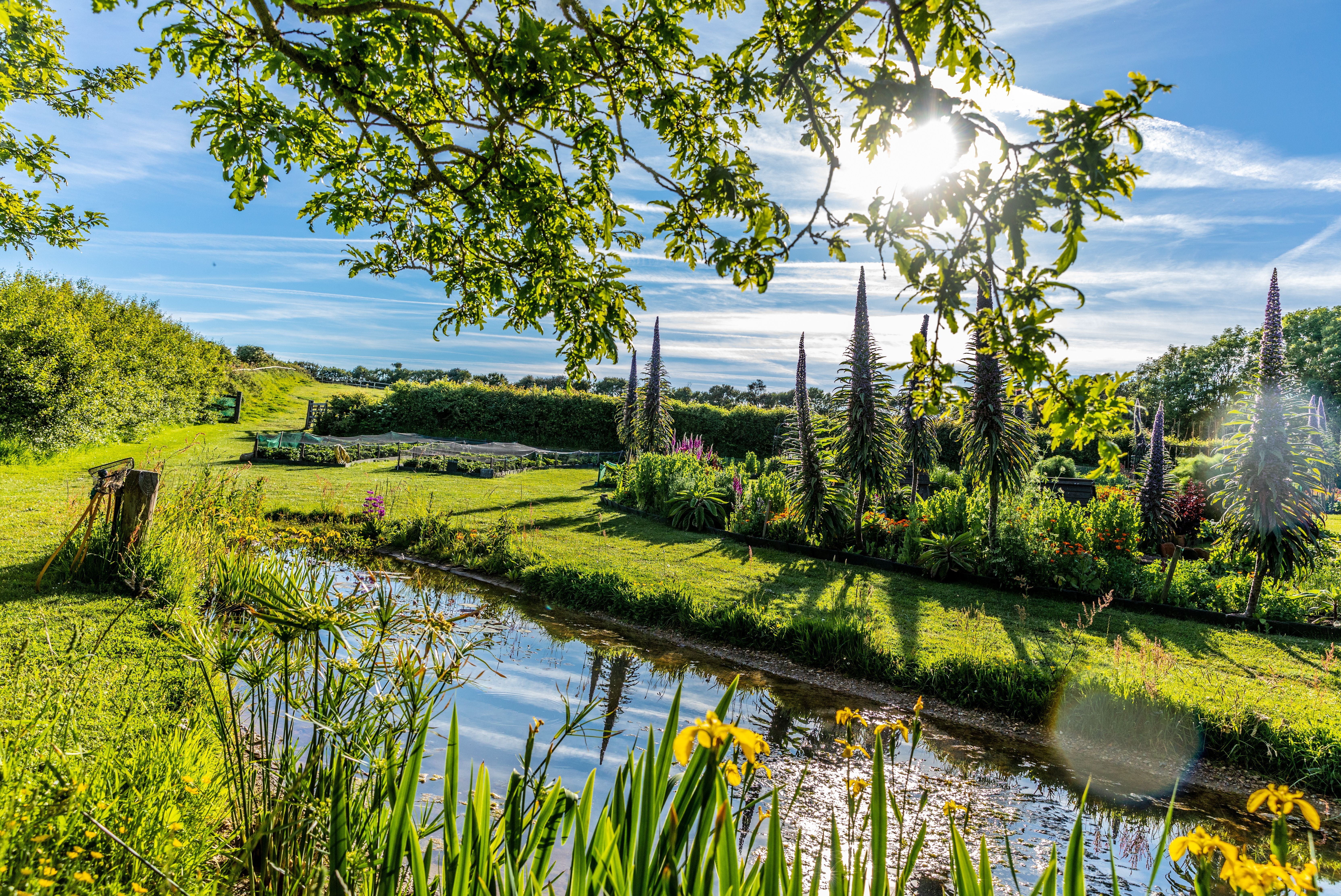 Une expérience de jardin en permaculture primée à Sercq