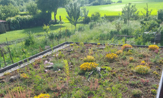 Jardin de permaculture de Burinkovo