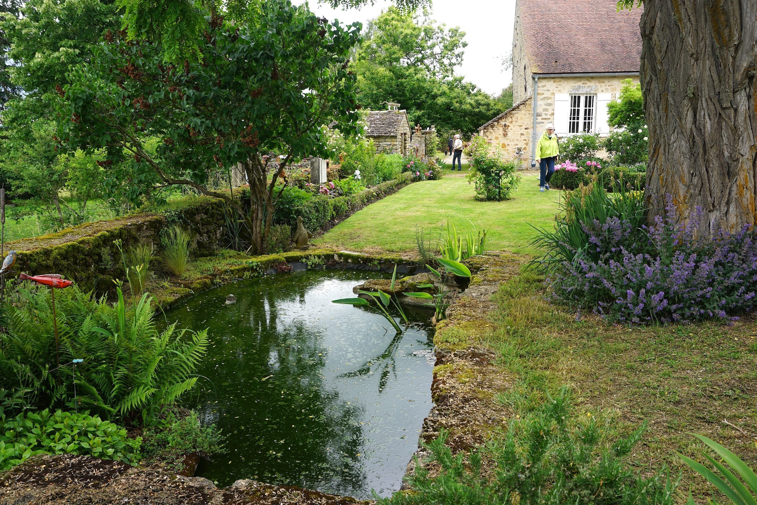 Visite du jardin du Presbytère d'Aubigny-la-Ronce