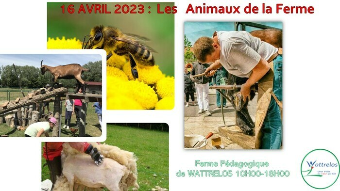 Les animaux de la Ferme