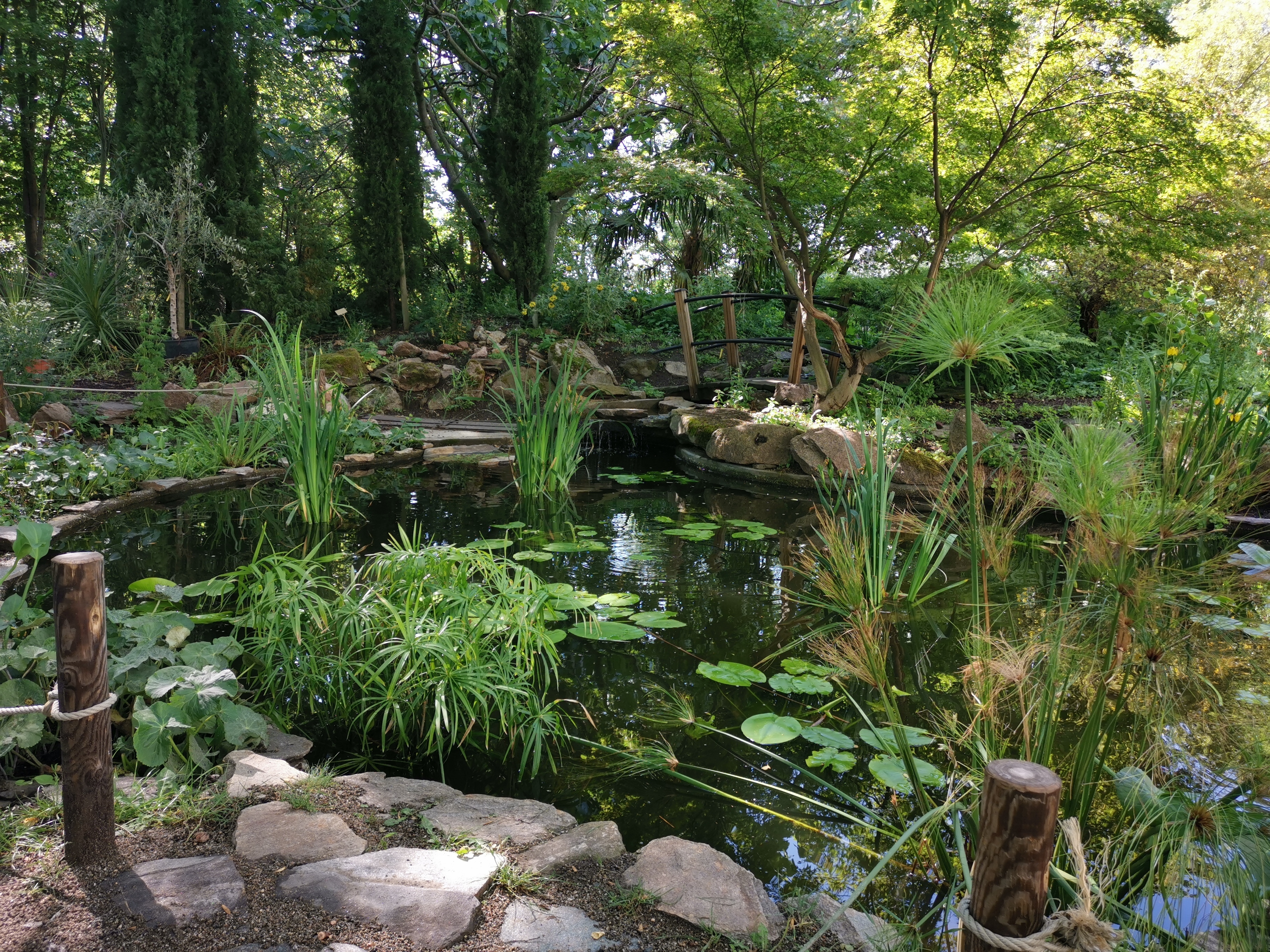 Visite du Jardin Botanique