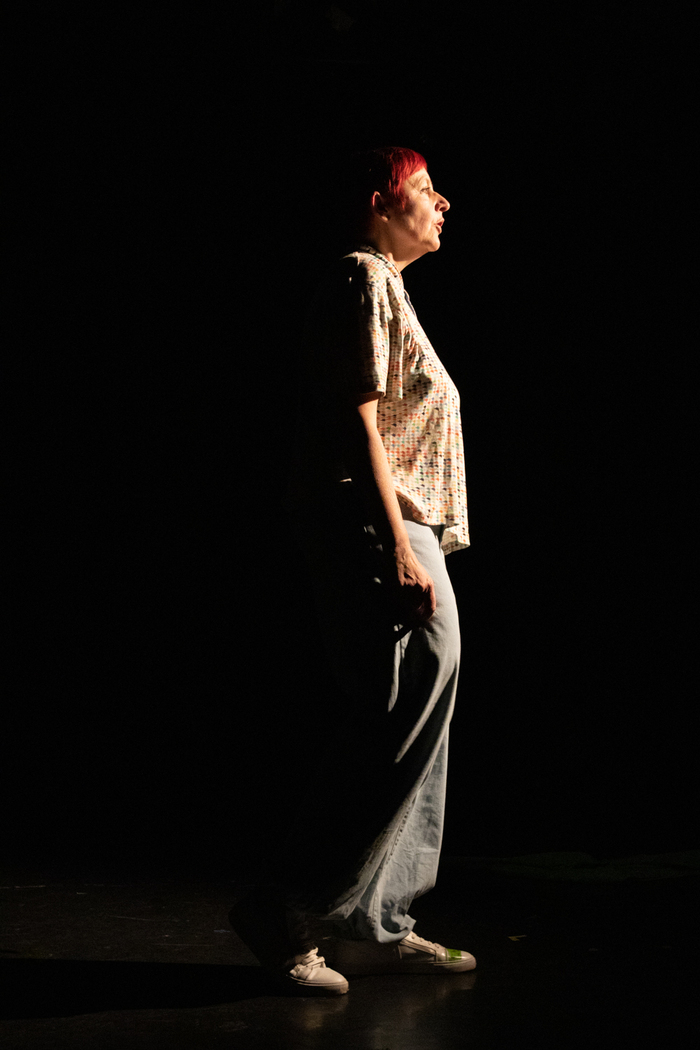 Spectacle Requin Chagrin par Clara Guenoum de la Cie Des gens qui content