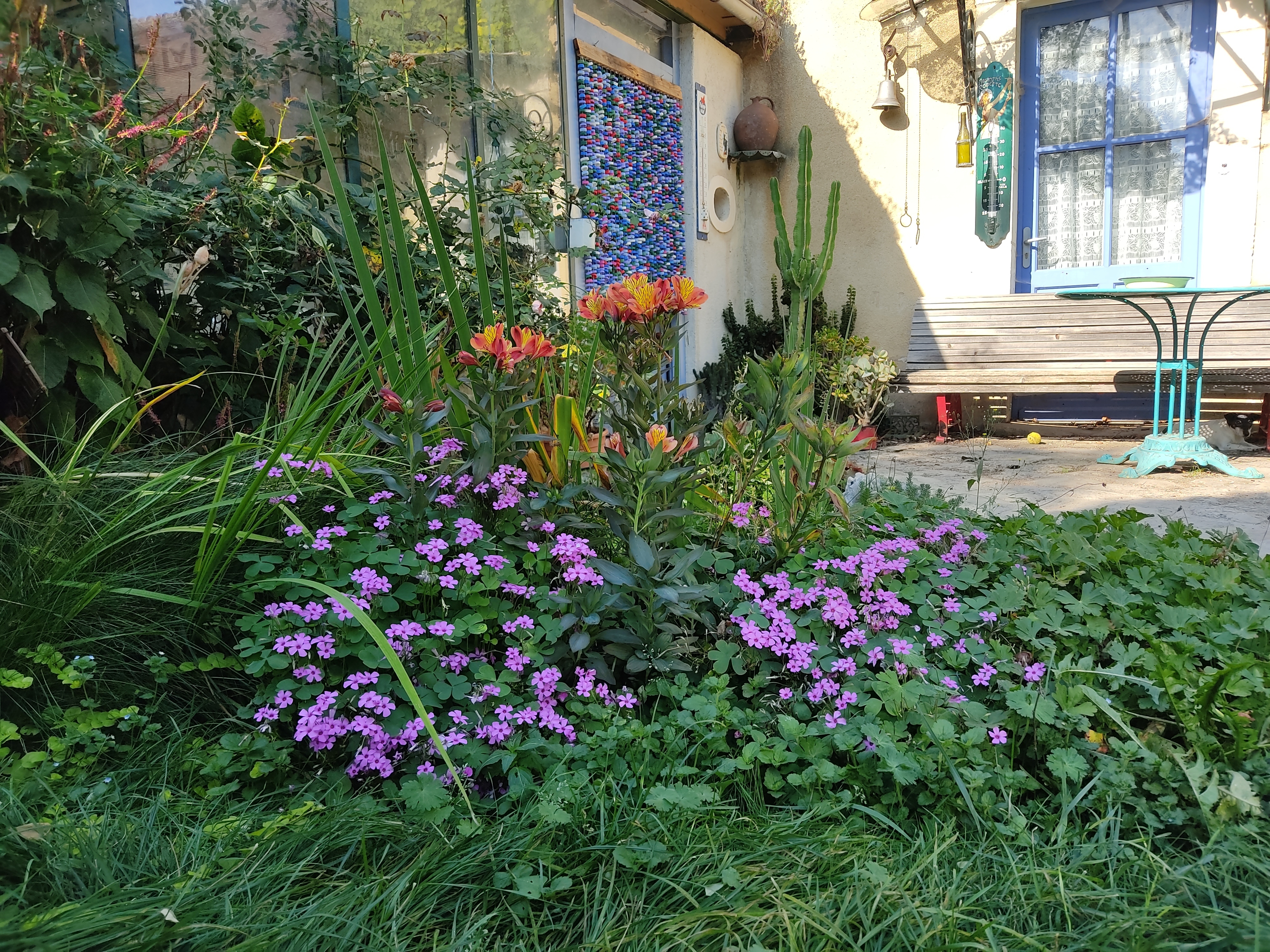 Visite du jardin « Les Gourdiflots »