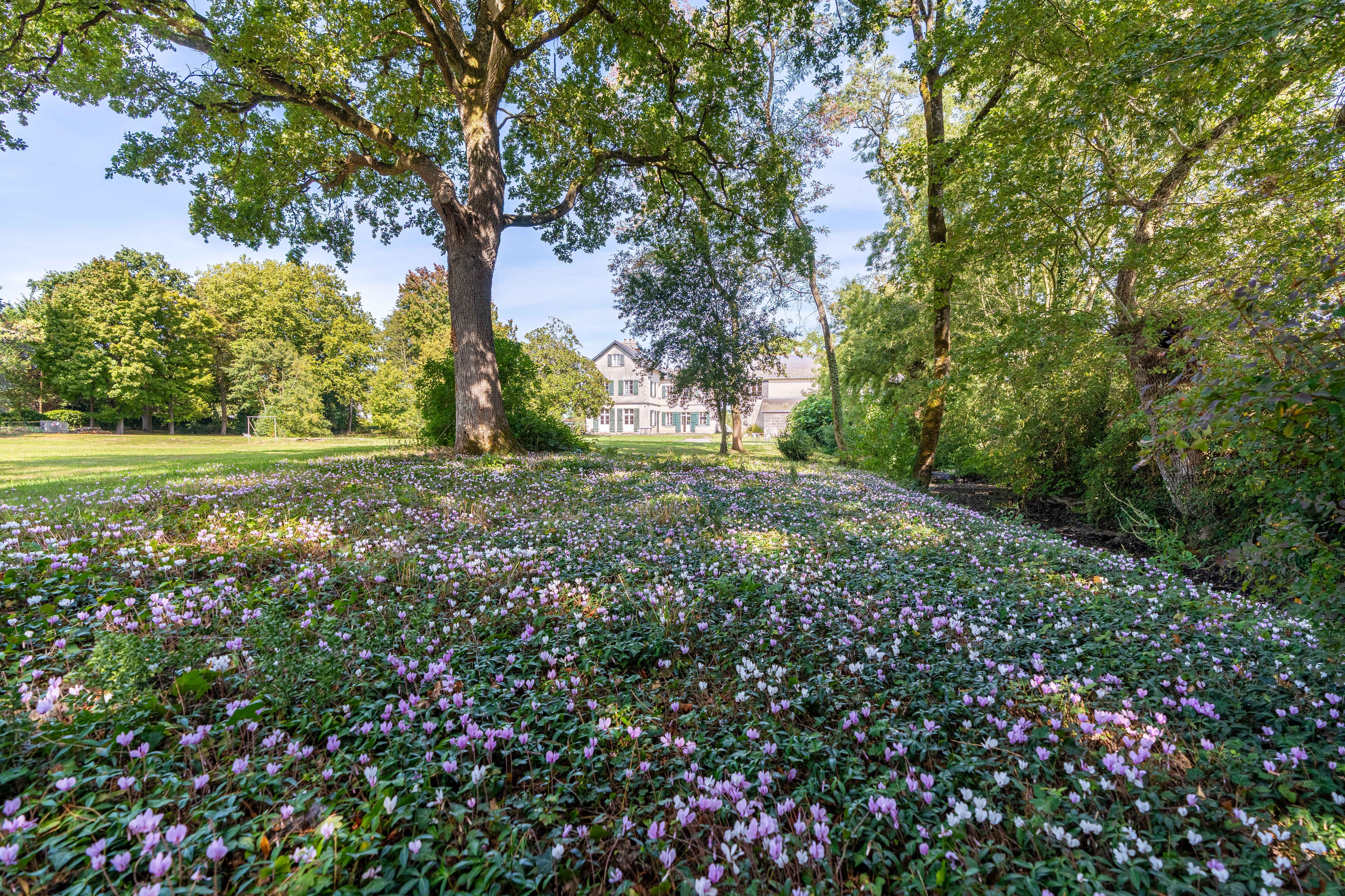 Découverte du futur jardin du moulin de la Charlotte