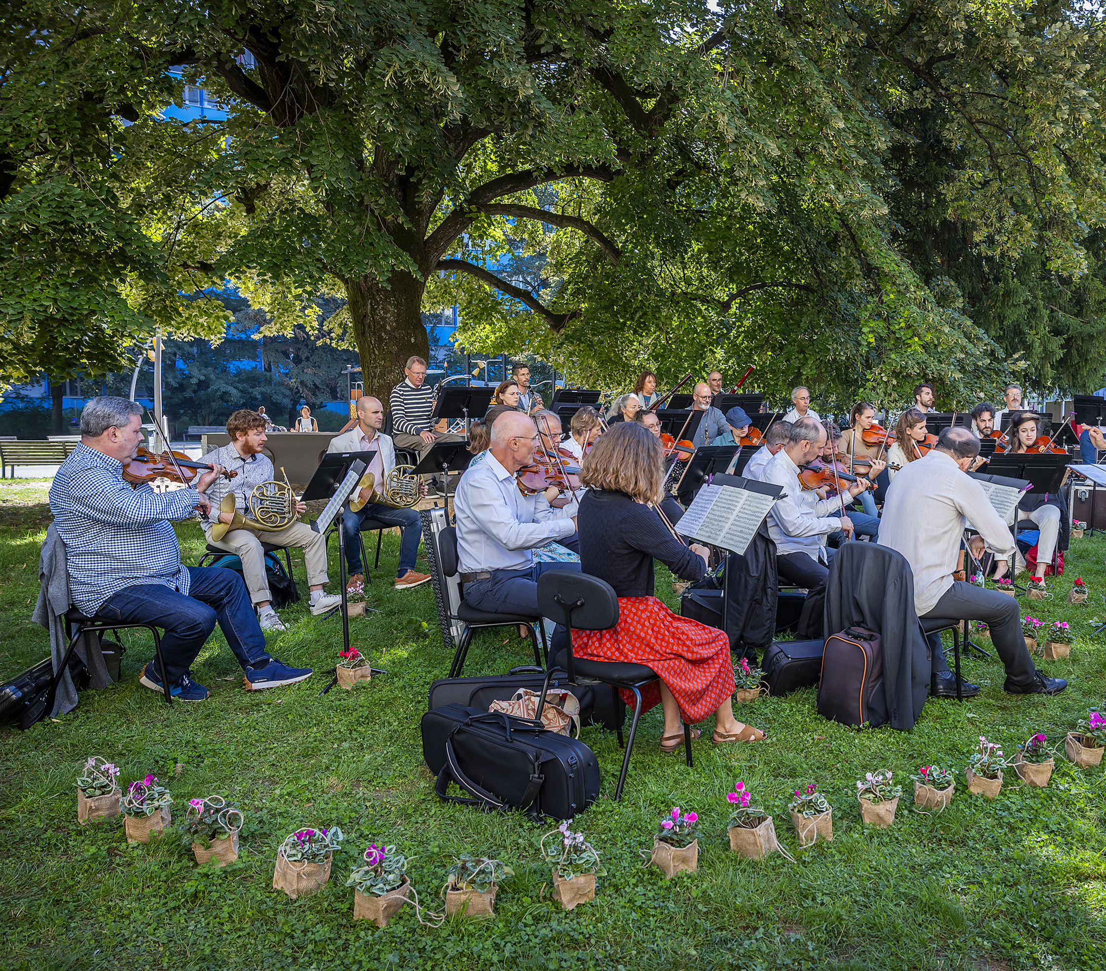 Concert au Jardin Botanique de Genève