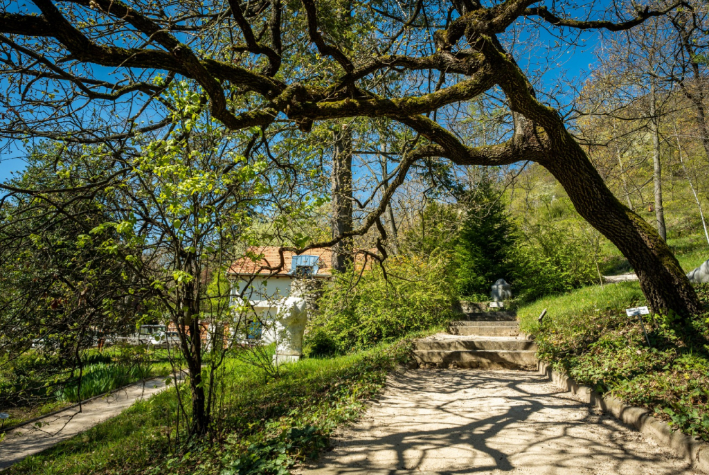 Panorama du jardin Pinter