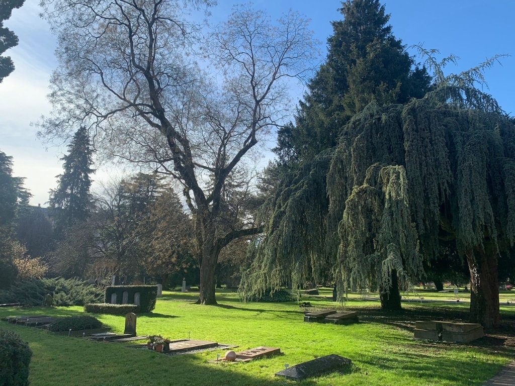 Arbres remarquables et sépultures célèbres