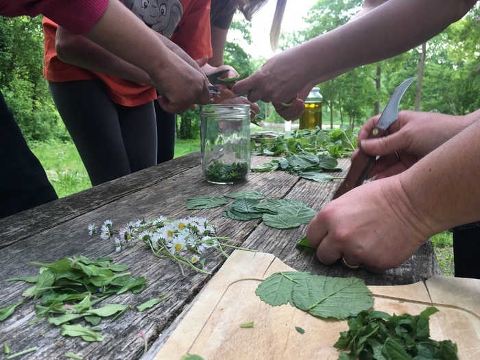 Un baume de soin fait en pleine nature
