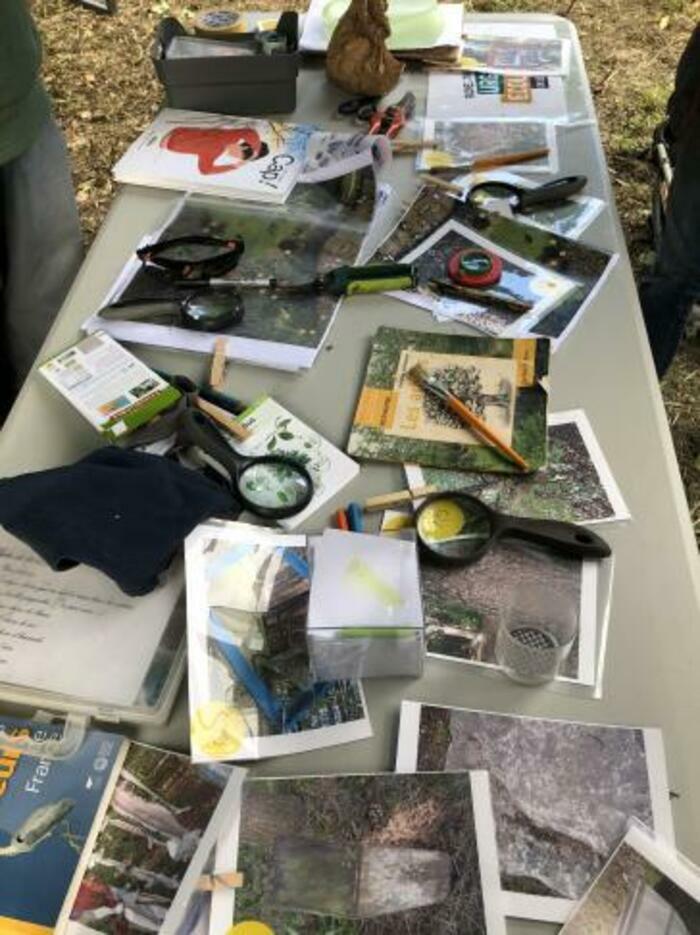 Balade naturaliste : rallye « Super pouvoirs de la nature »