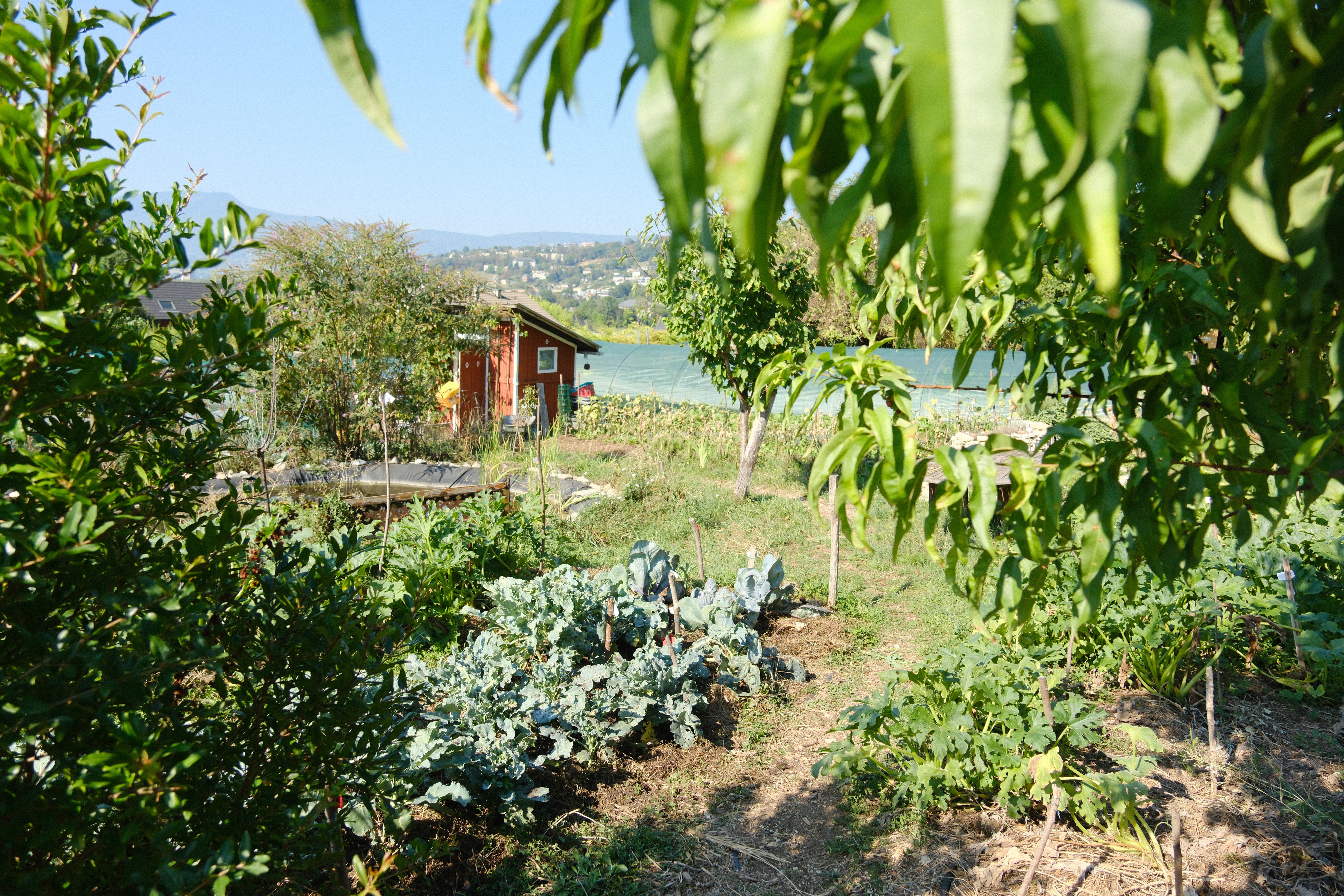 Visite du Jardin d'Andrée, au profit de l'association Jardin et Santé
