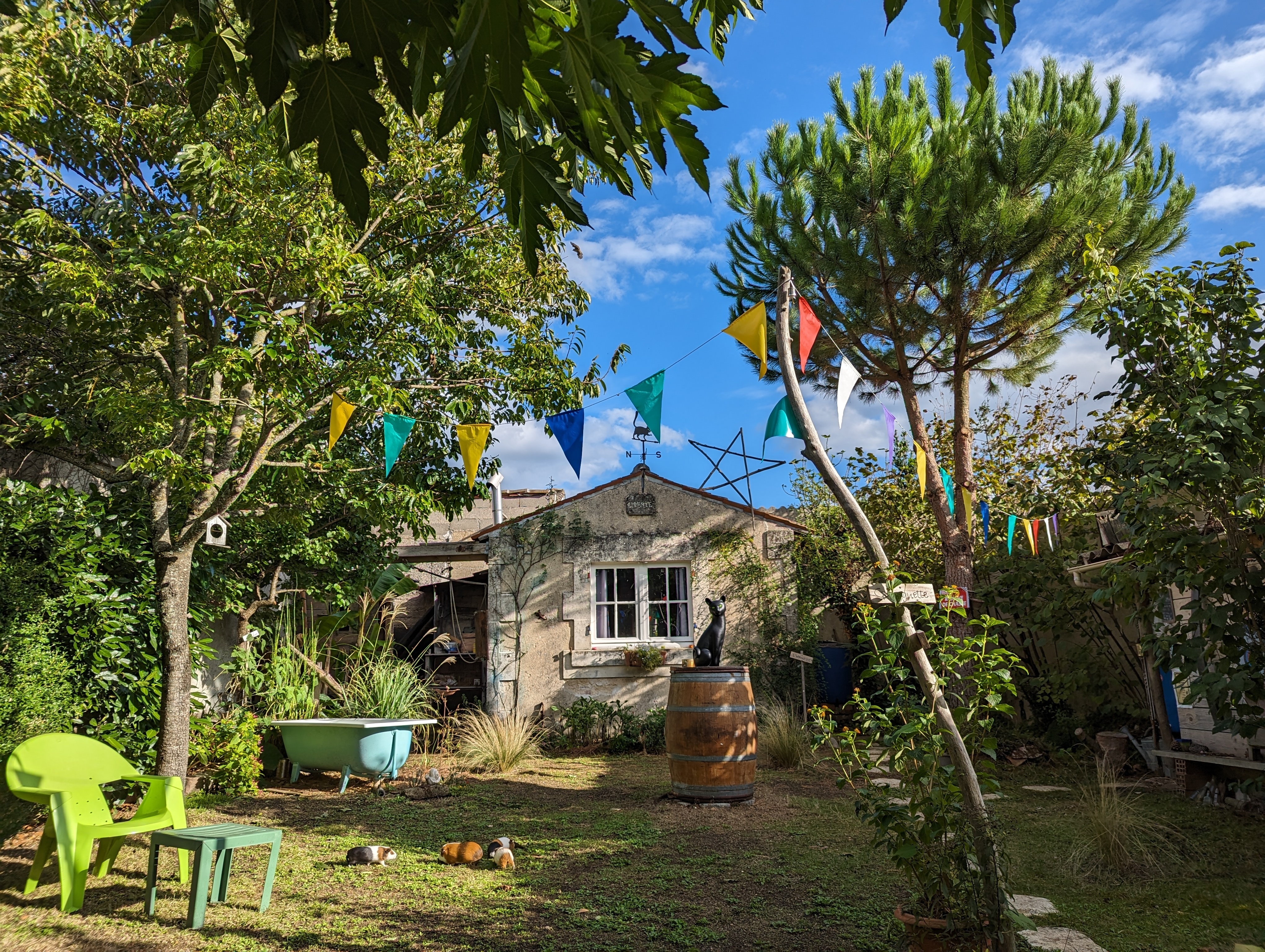 Visite découverte du Jardin Liberté