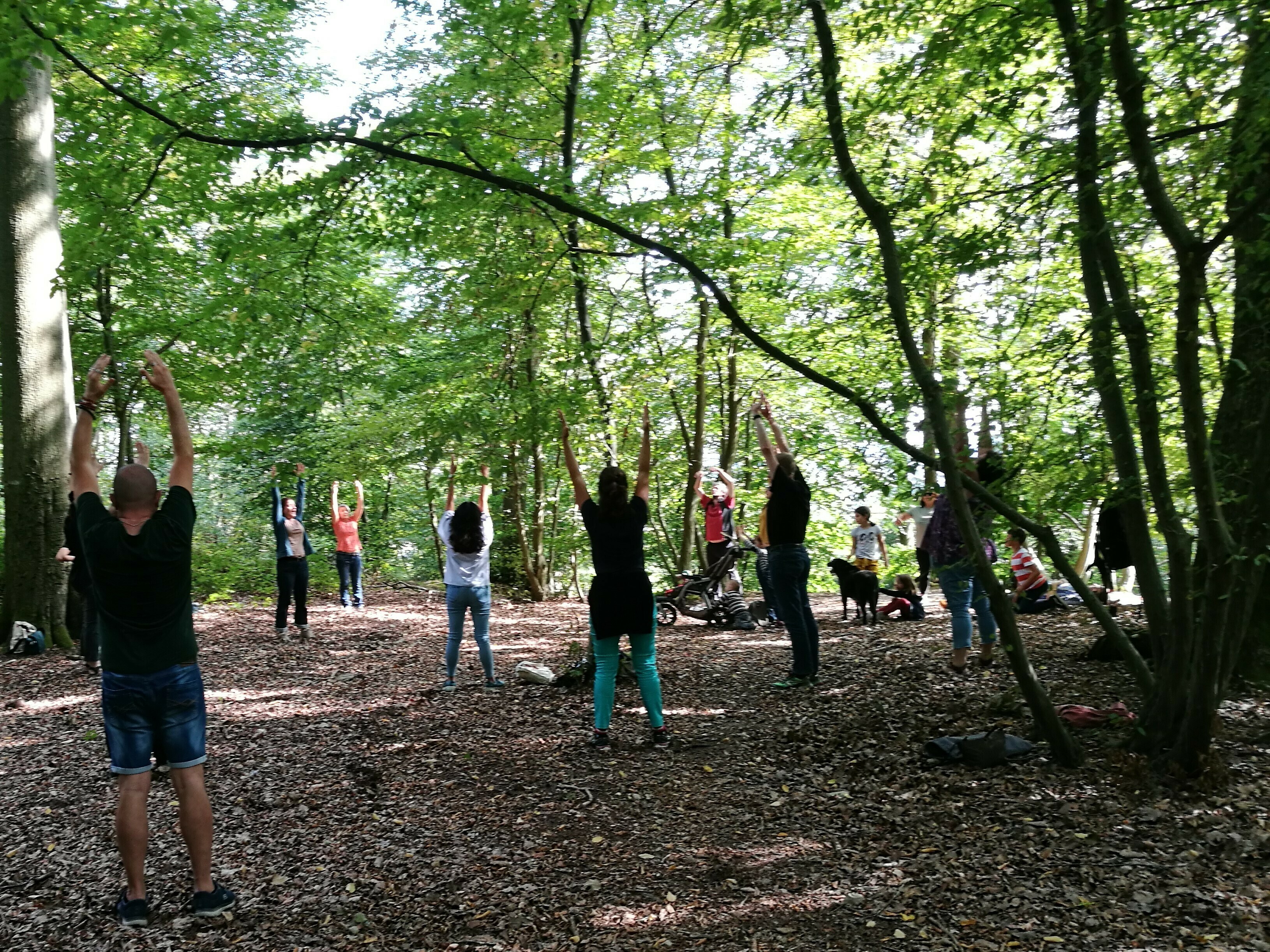 COMPLET | Balade en immersion