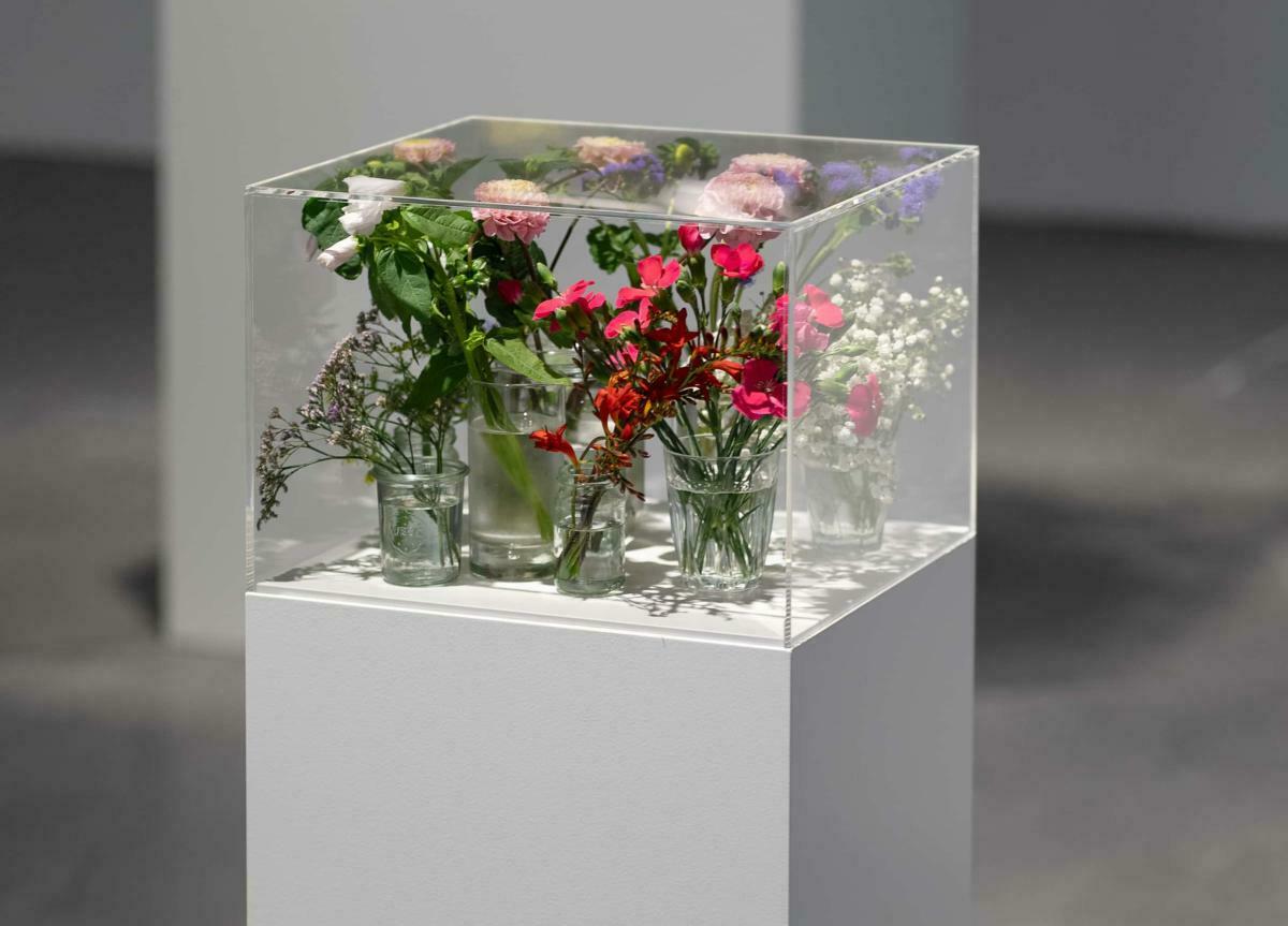 Exposition "Pollen"