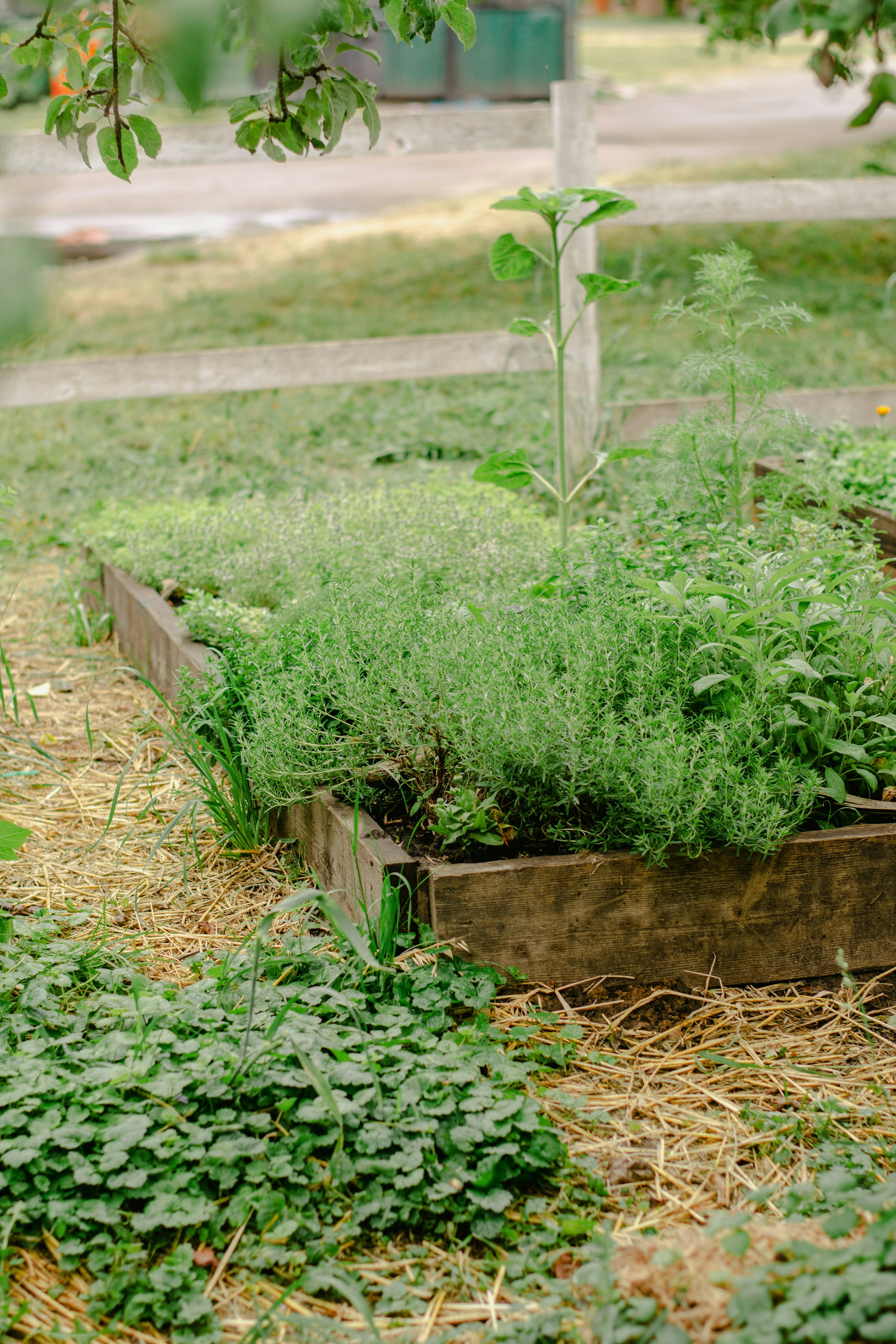 Formation adulte : l'eau au jardin