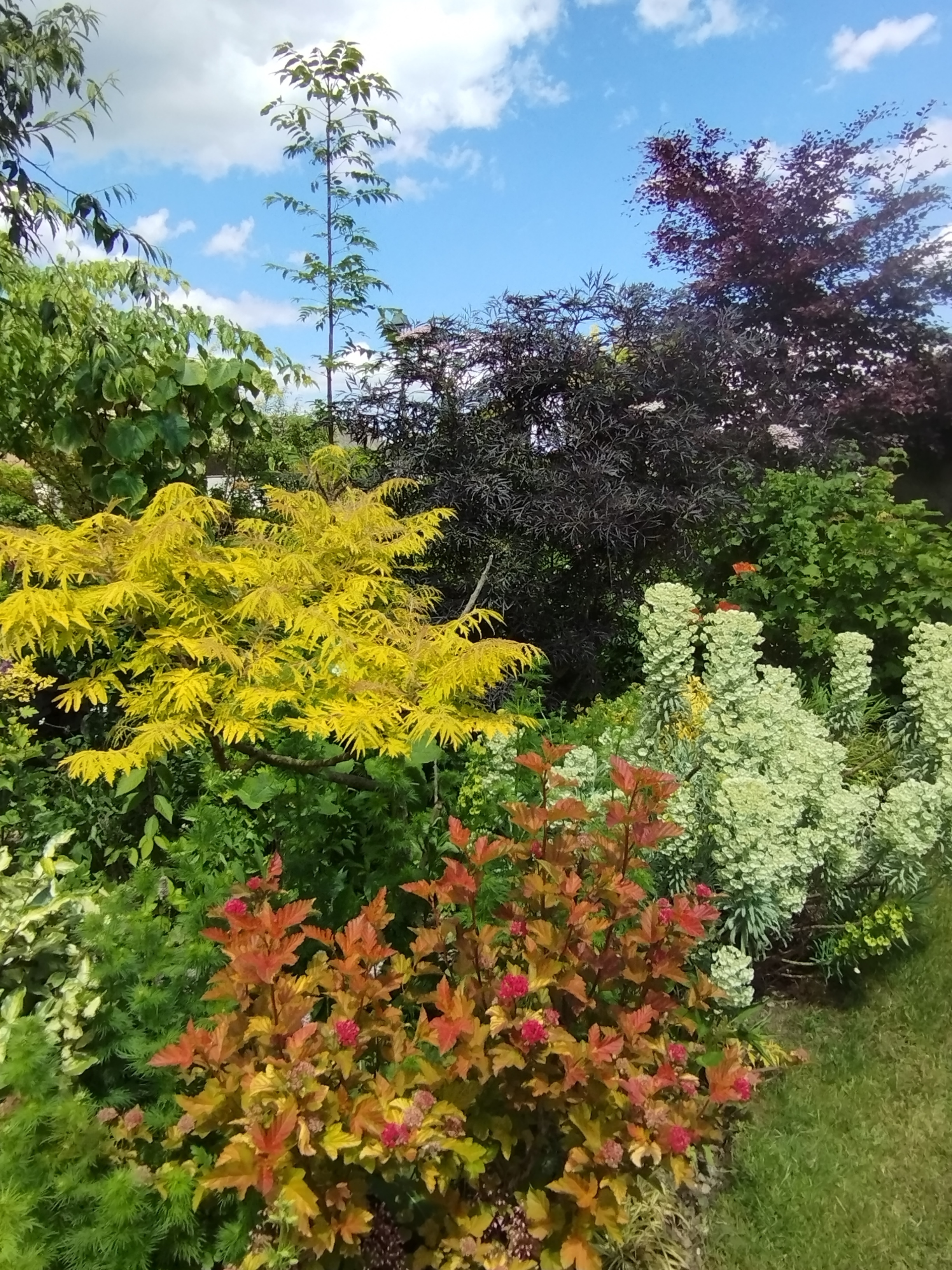 Visite du Jardin des quatre saisons