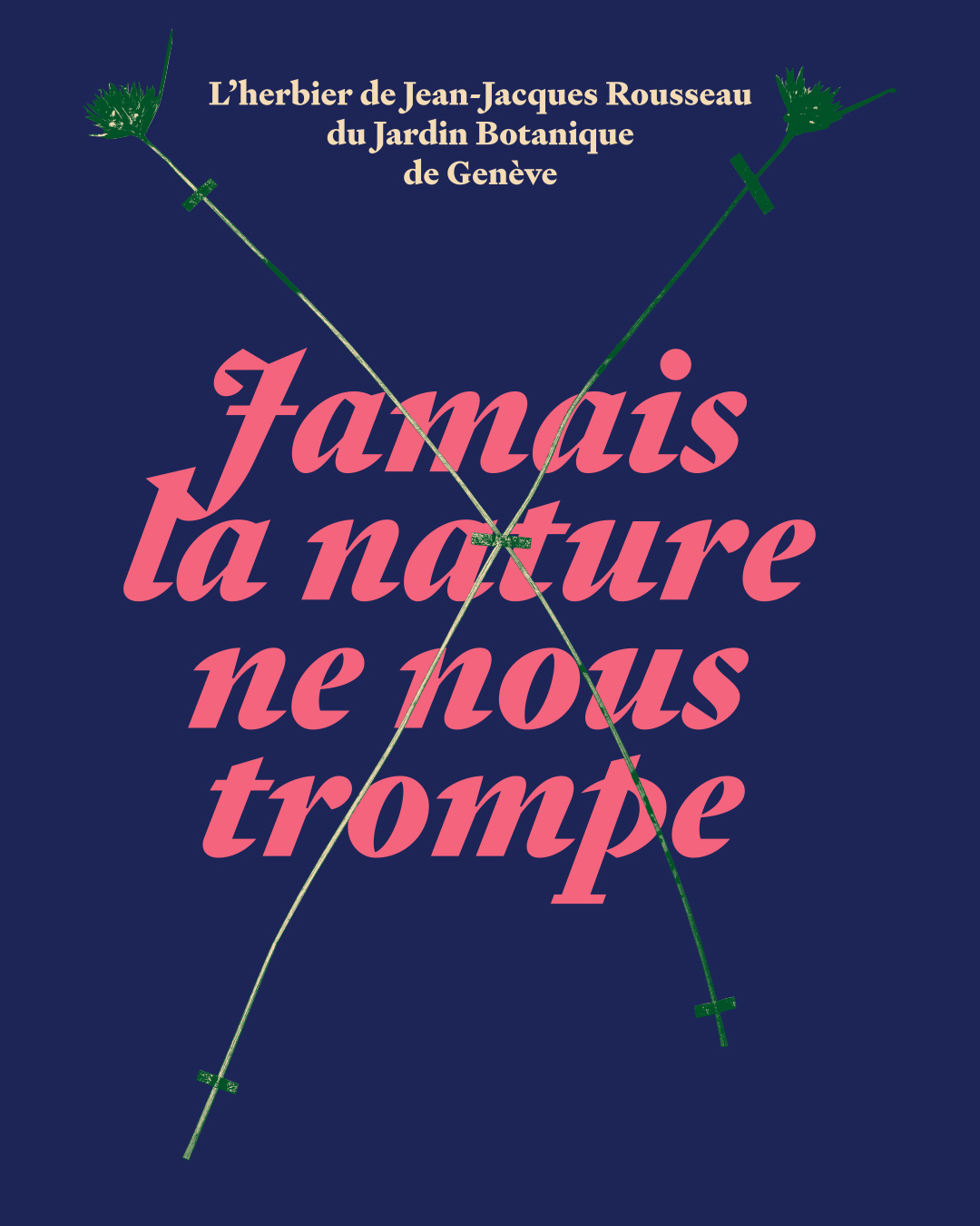 «Jamais la nature ne nous trompe»: l’herbier de Jean-Jacques Rousseau du Jardin botanique de Genève