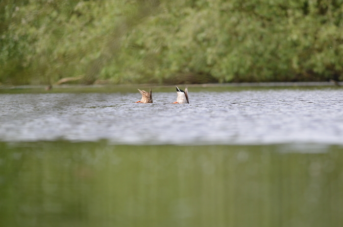 Naturalist walk: "A meal break is necessary"