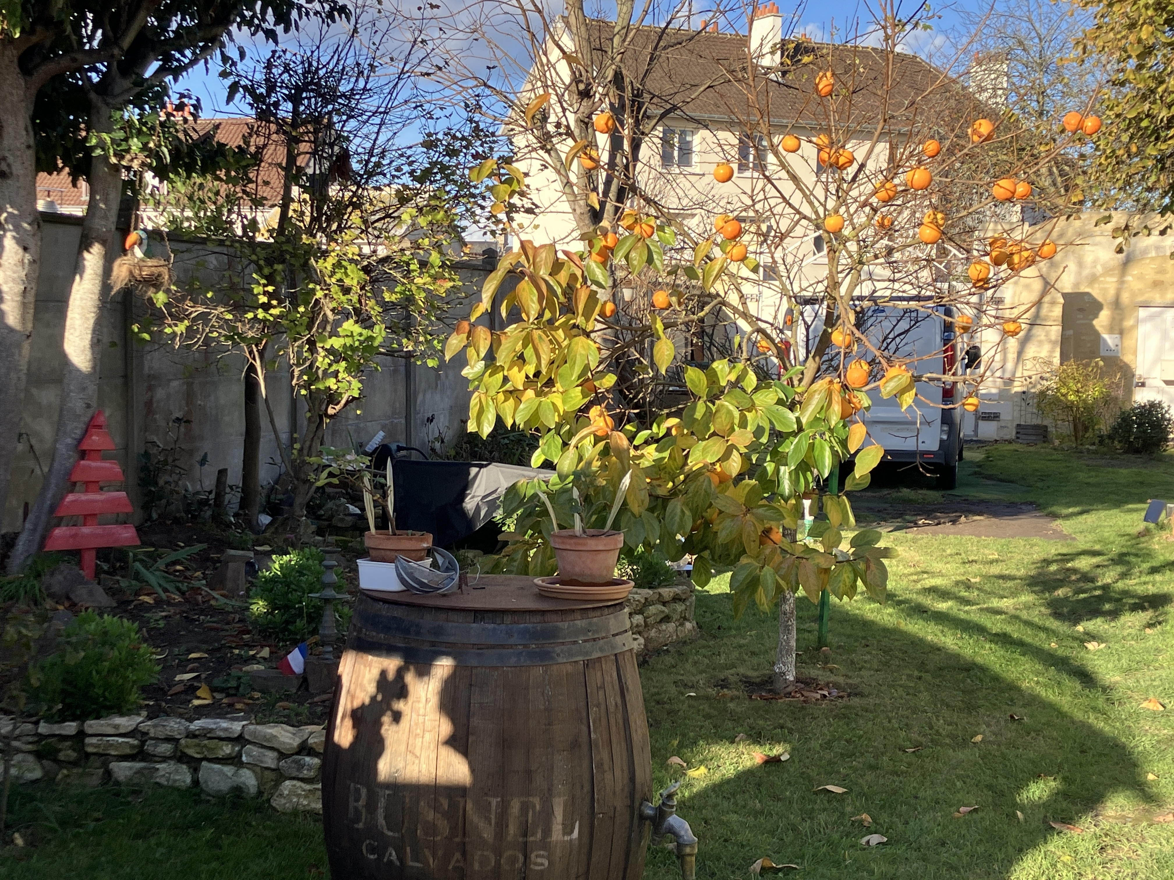 Art au jardin : visite libre du jardin Beau Soleil