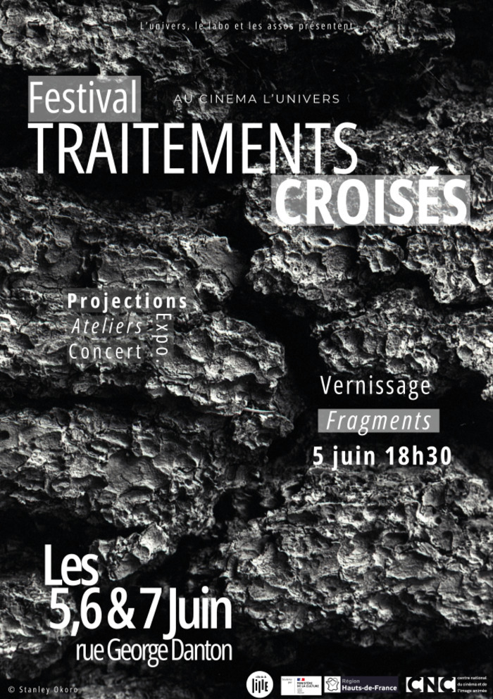 Festival Traitements Croisés