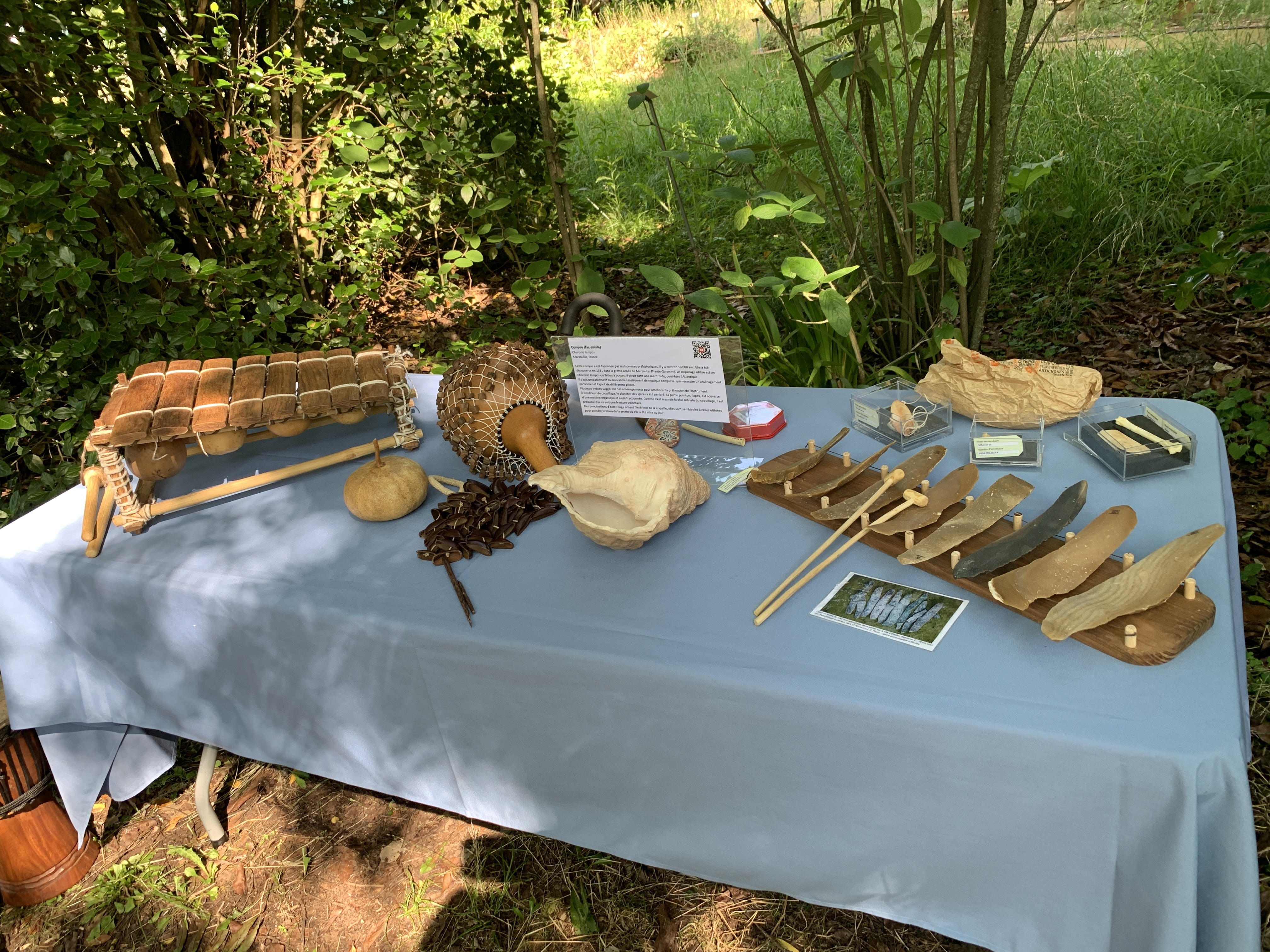 Instruments de musique et matières animales et végétales