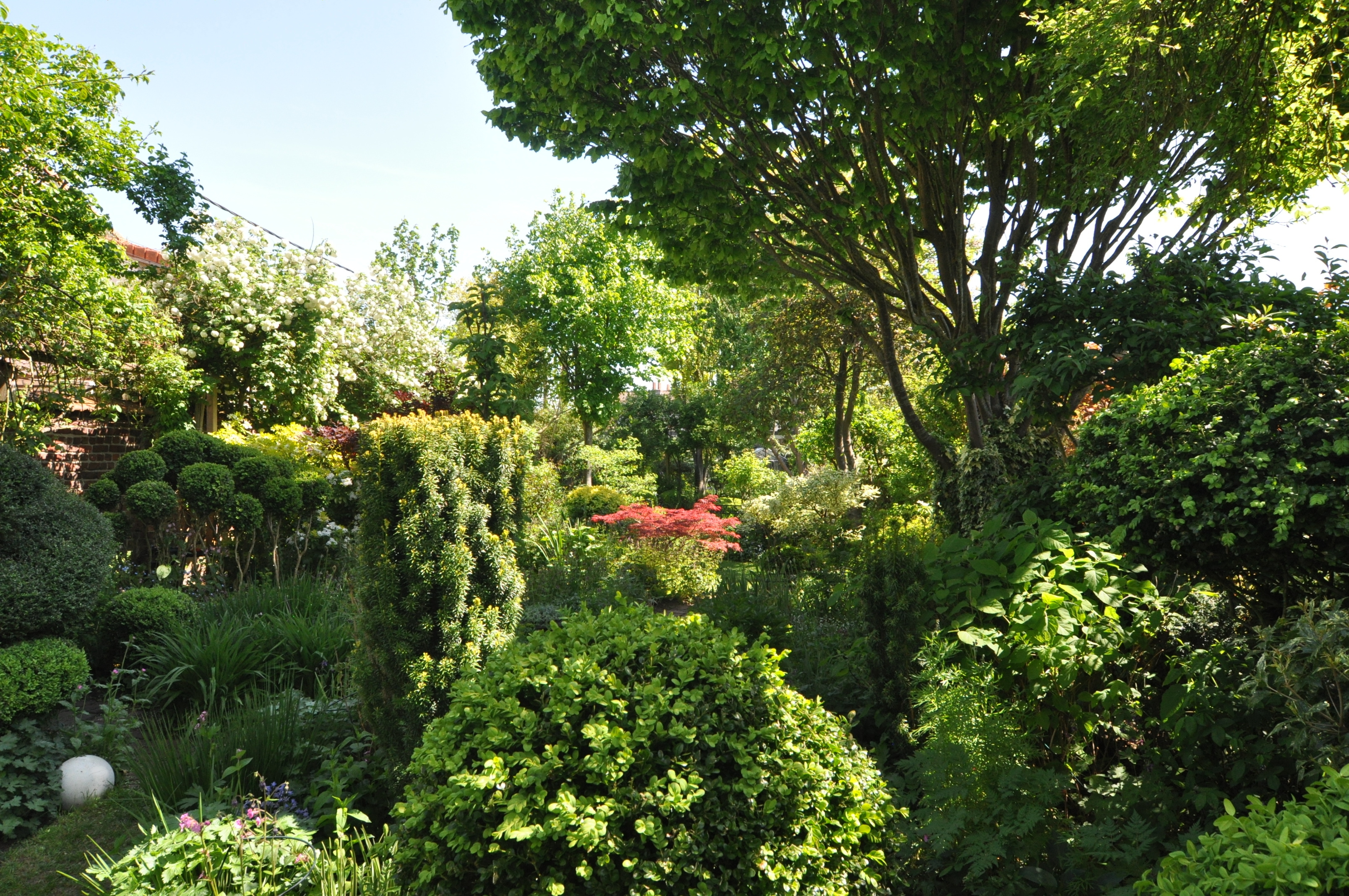 Visite découverte du jardin des petits sentiers