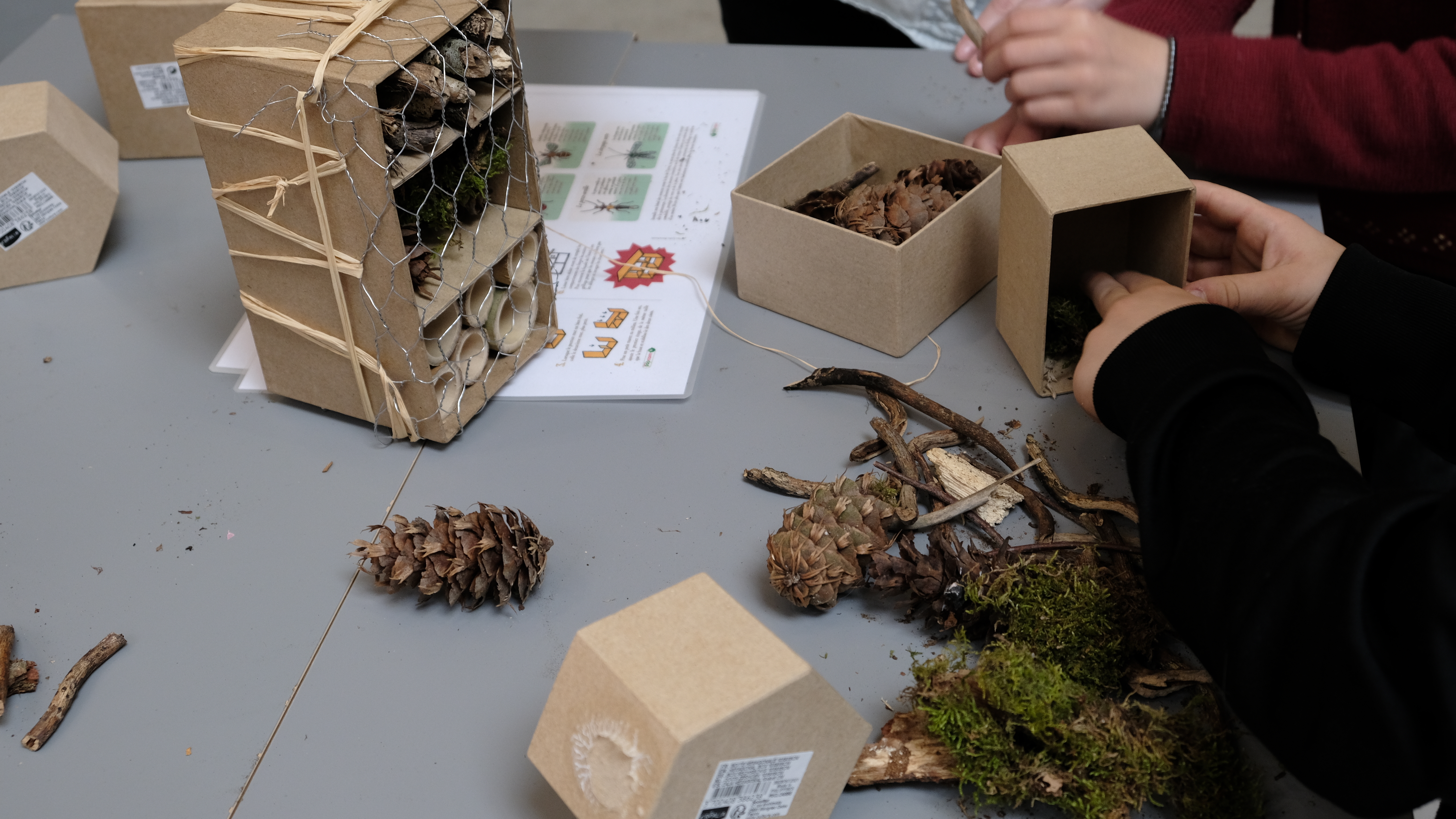 Ateliers créatifs