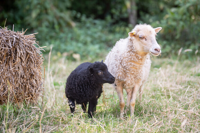 Visite découverte sensorielle