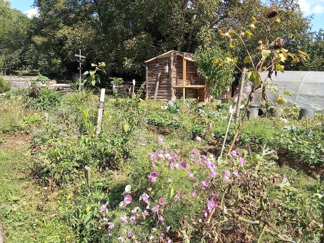 Visite découverte du jardin