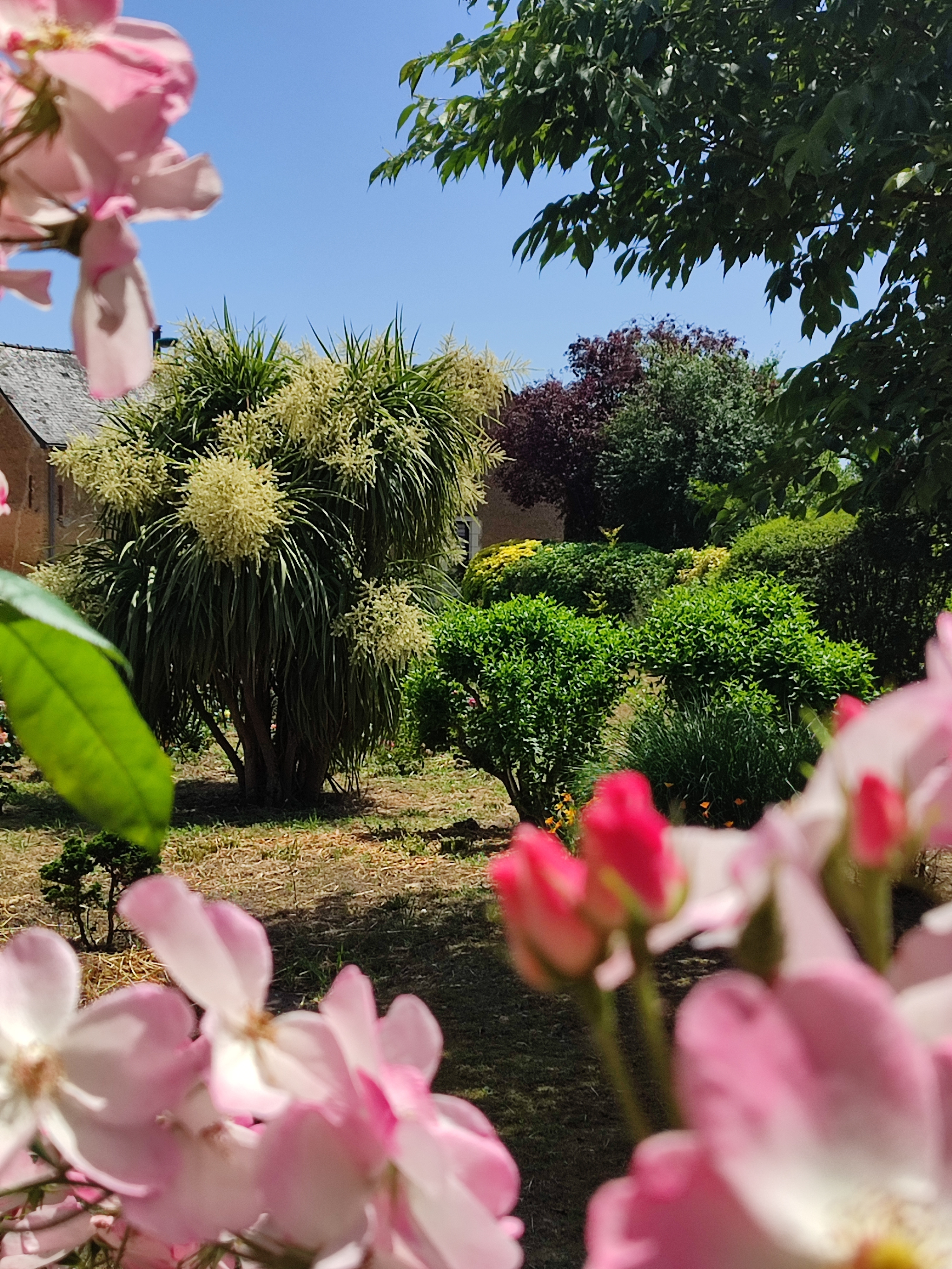 Découvrez le Jardin de Serge
