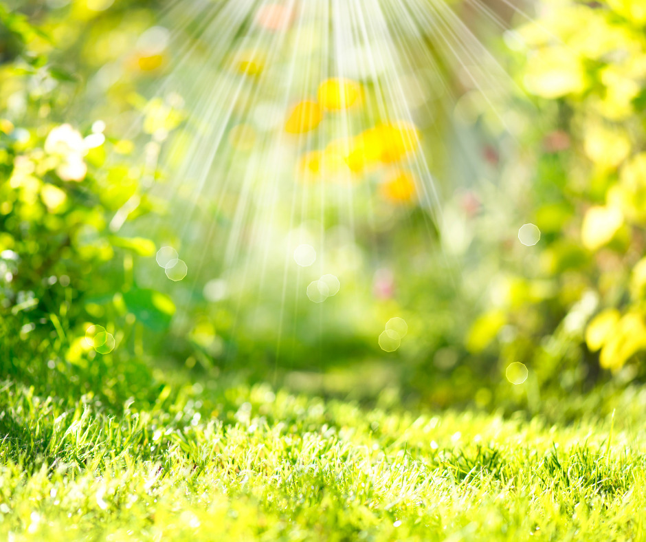 Rallye nature « Y a le printemps qui chante »