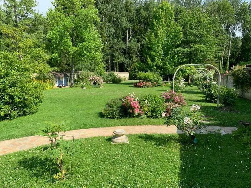 Visite du jardin "Au bonheur des grenouilles"