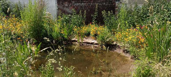 Atelier nature et atelier gravure - 8/7